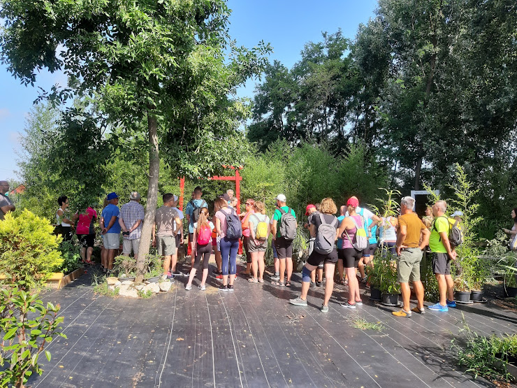 Iskolás csoportok fogadása